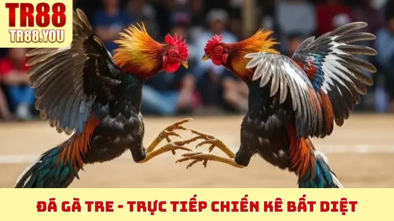 Đá Gà Tre
